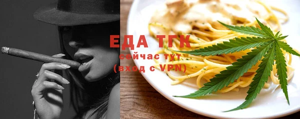 индика Пенза