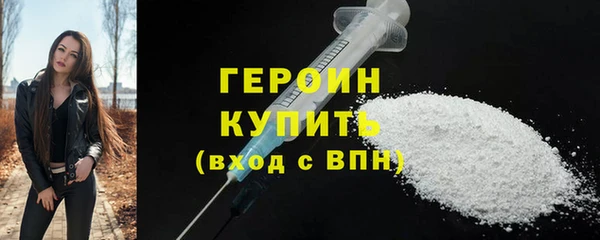 индика Пенза