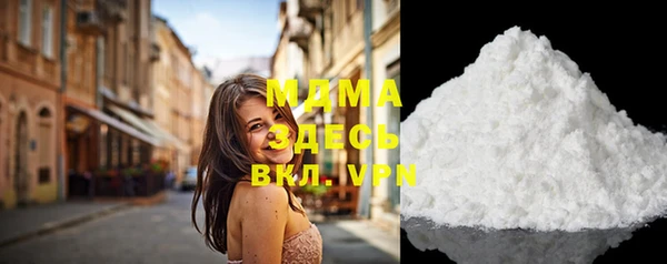 индика Пенза