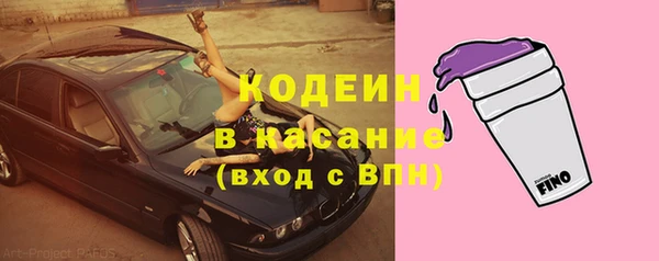 ПСИЛОЦИБИНОВЫЕ ГРИБЫ Верея