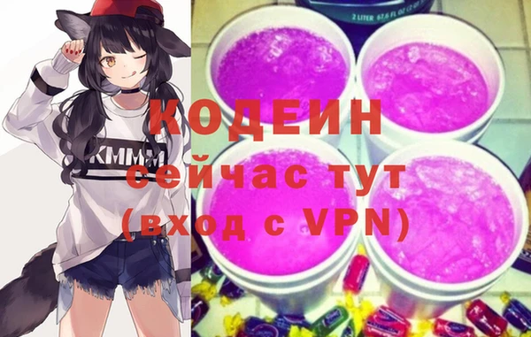 индика Пенза