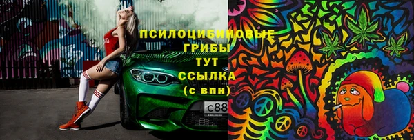 ПСИЛОЦИБИНОВЫЕ ГРИБЫ Верея