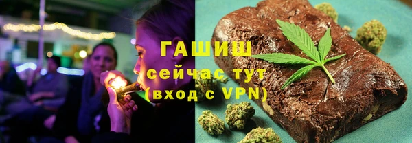 индика Пенза