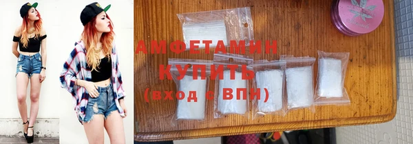 индика Пенза