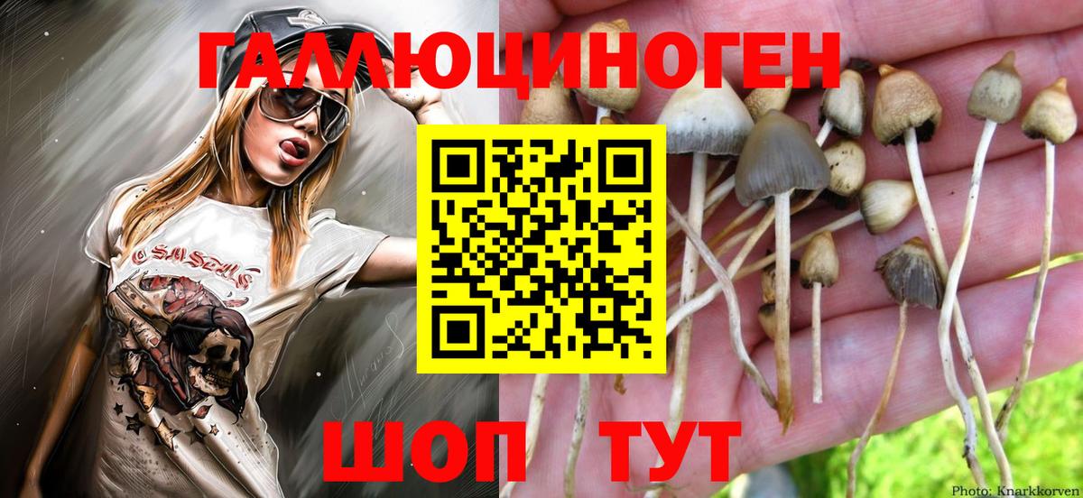Гурьевск  Галлюциногенные грибы прущие грибы  Вход с VPN  Псилоцибиновые грибы Magic Shrooms 