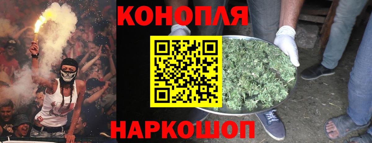Шишки марихуана White Widow  Марихуана план  Вход с VPN  Гурьевск 